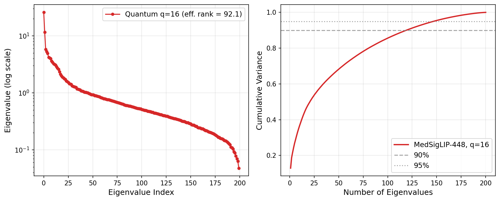 Quantum kernel eigenspectrum at q=16 for MedSigLIP-448