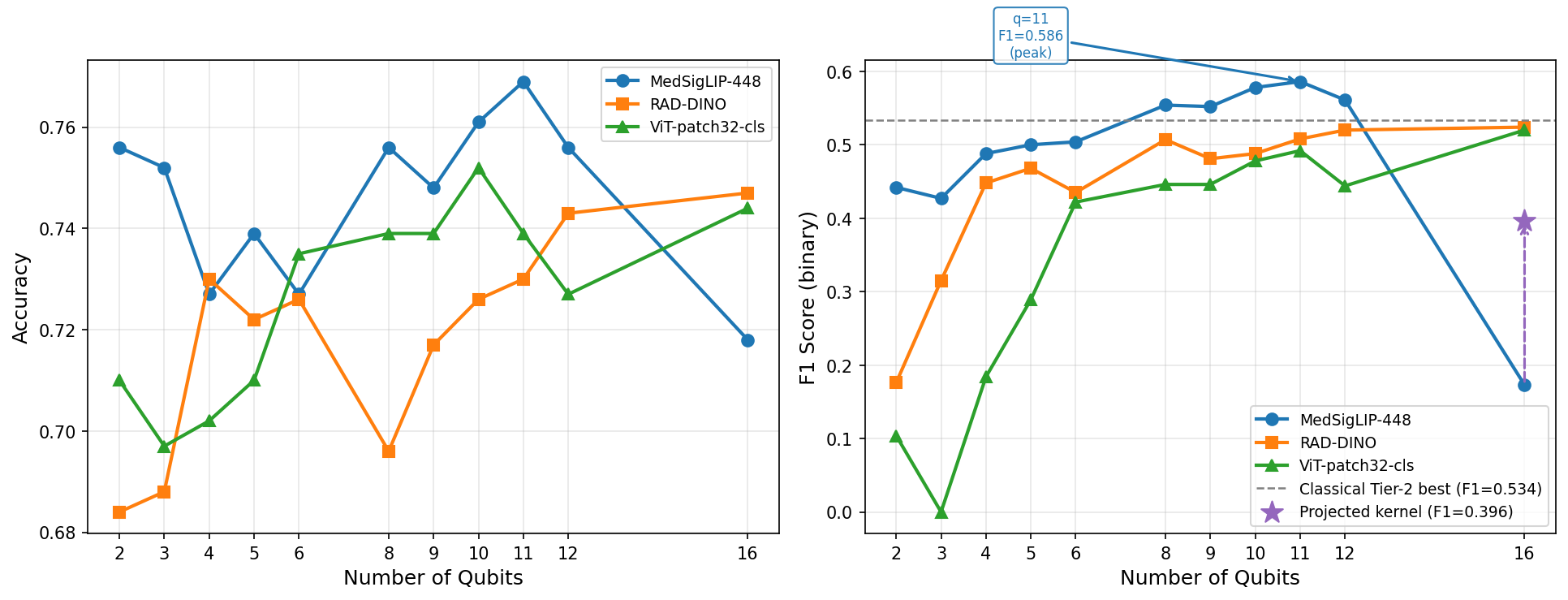 F1 score vs qubit count across medical foundation models