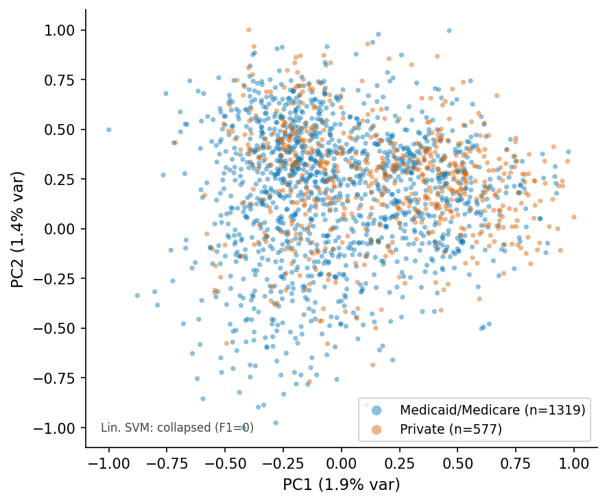 PCA scatter RAD-DINO q=6